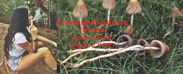 MESCALINE Белокуриха