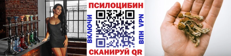 Псилоцибиновые грибы Cubensis  Купить где  Оса 