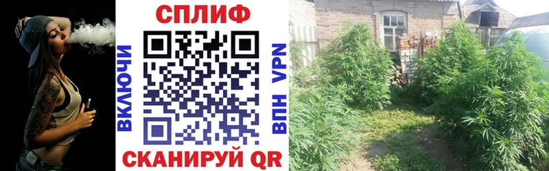 Марихуана Ganja  Купить закладки  Оса 